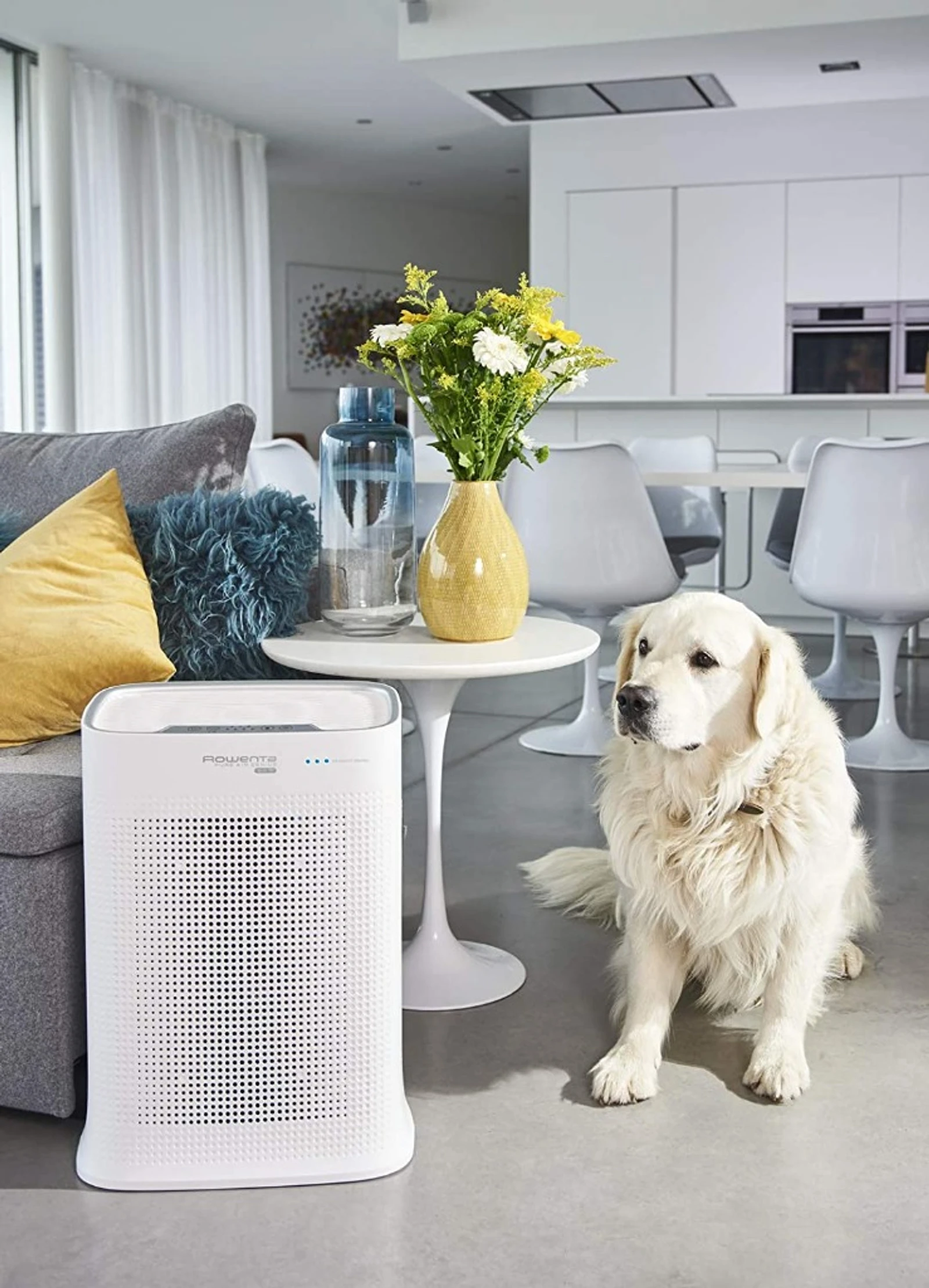 Efectivo contra pelo de mascotas y alérgenos