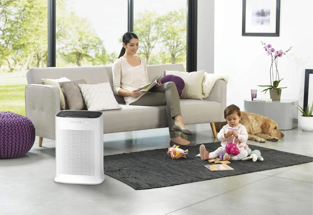 Rowenta PU3040 detalle de filtros