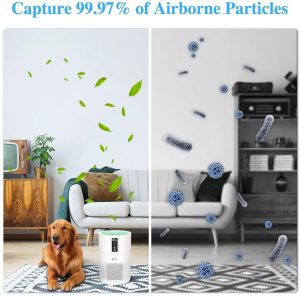 Filtro Hepa Anion Diki Salon